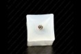/album/fotogaleria-sp-icon-a30-white/sp-30-3-jpg/